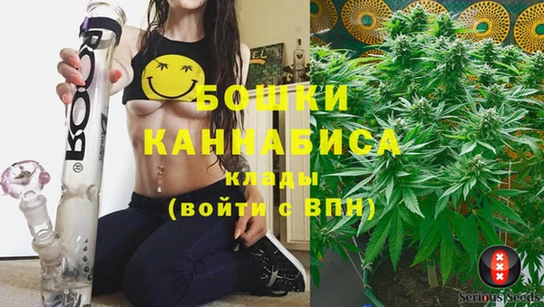 PSILOCYBIN Нефтегорск